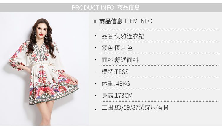 Original design spring summer autumn vacation ethnic style print elegant temperament short V-neck dress