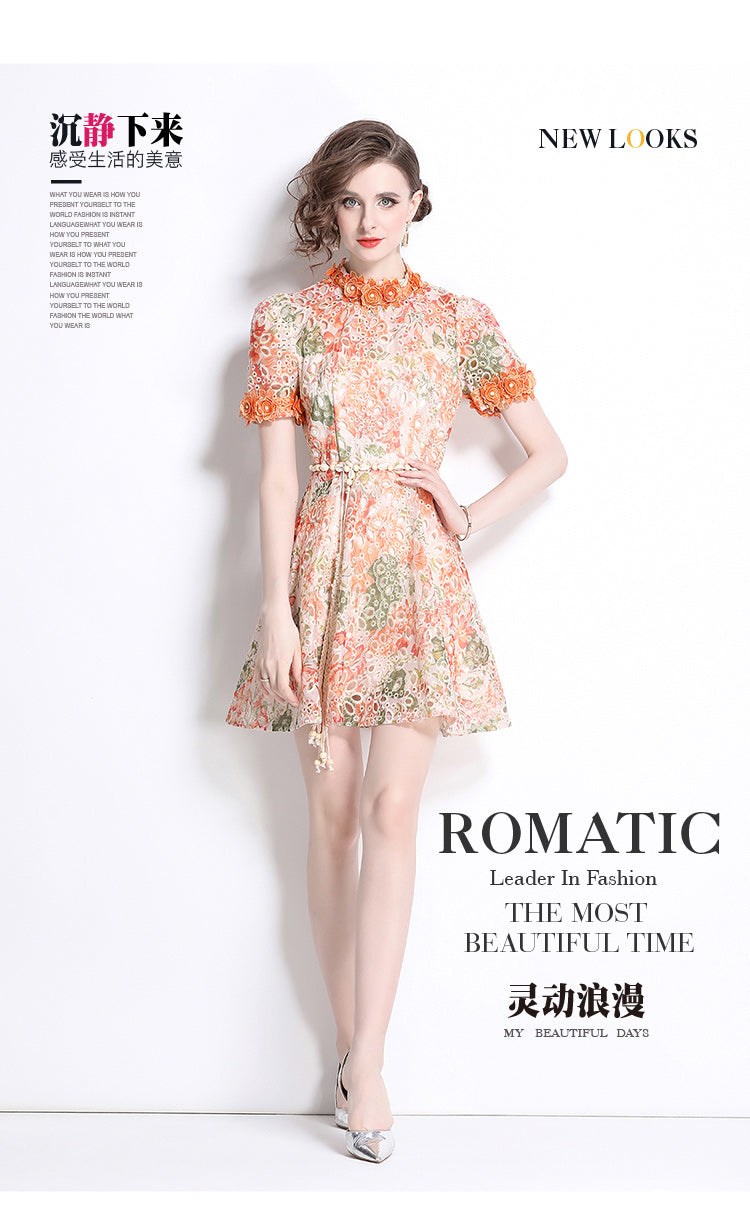 Original Design: Spring/Summer Embroidered Printed Dress for Women with a High end Style and a slimming A-line Skirt with a cinched waist